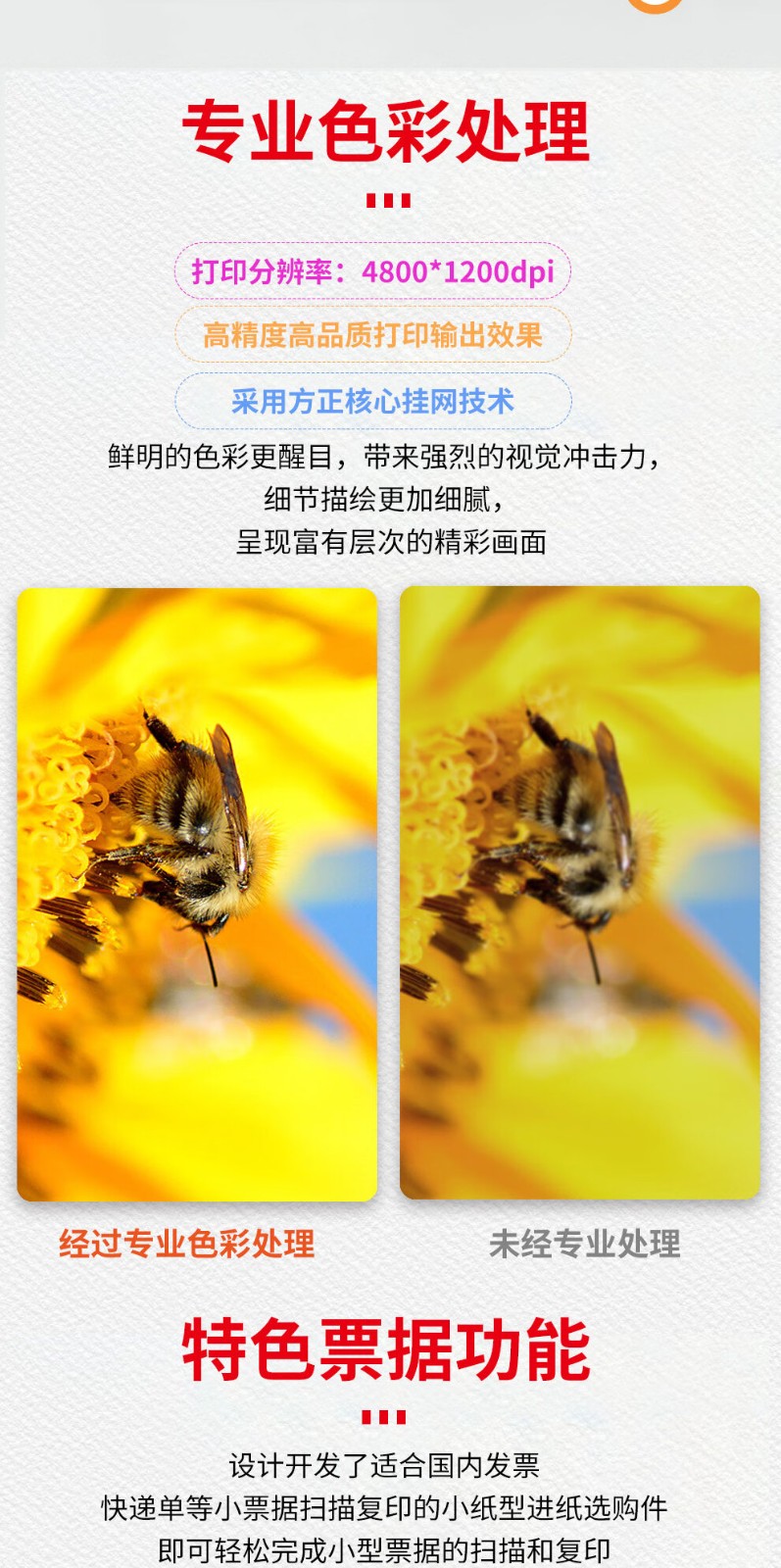 1739583611586681.jpg