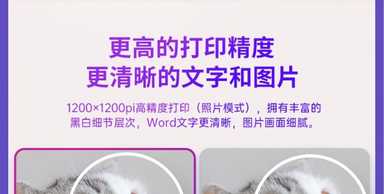 详情-10.jpg