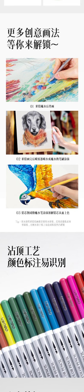 1734320406170481.jpg