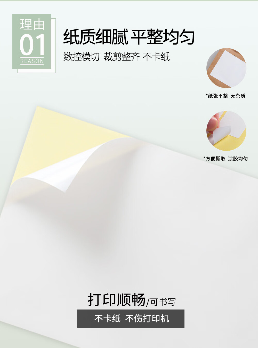 1737080869559145.jpg