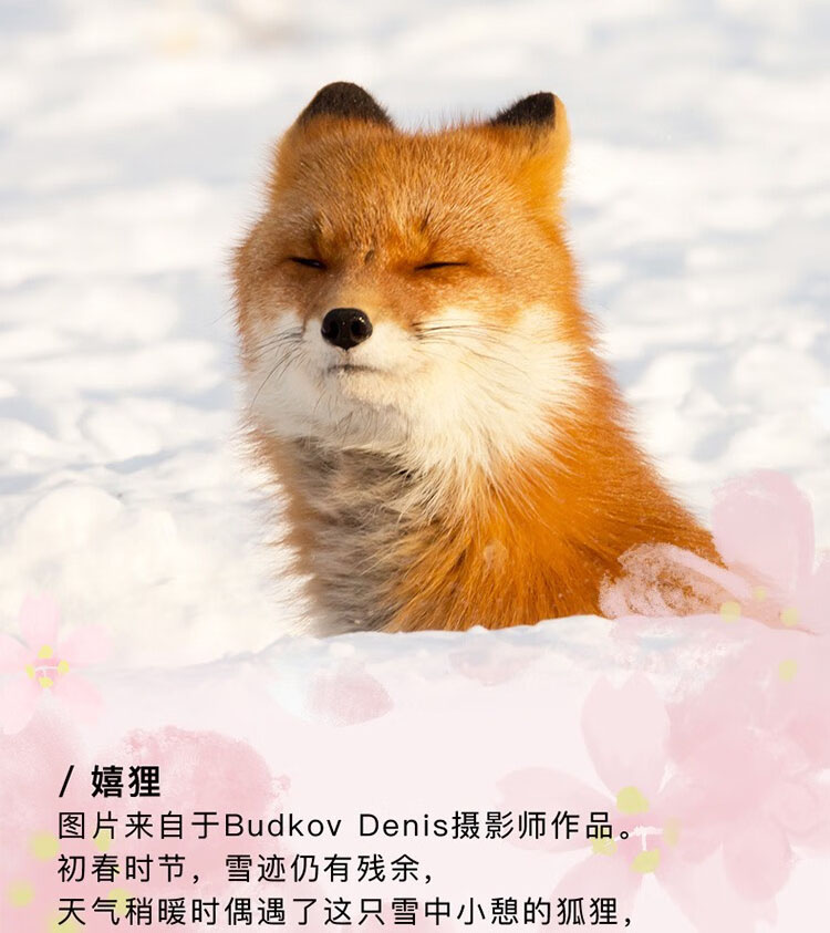 详情-15.jpg