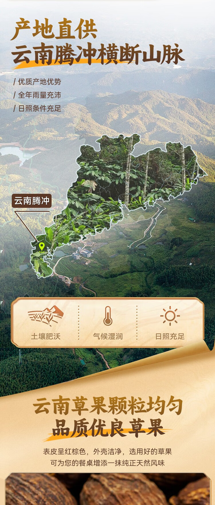 详情-02.jpg