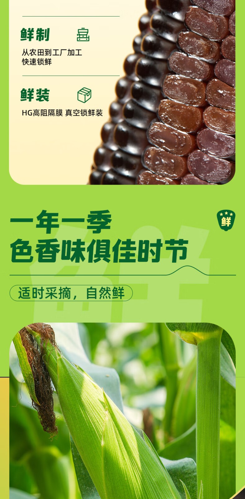 详情-05.jpg