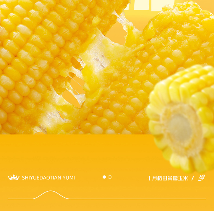 7571玉米升级_09.jpg
