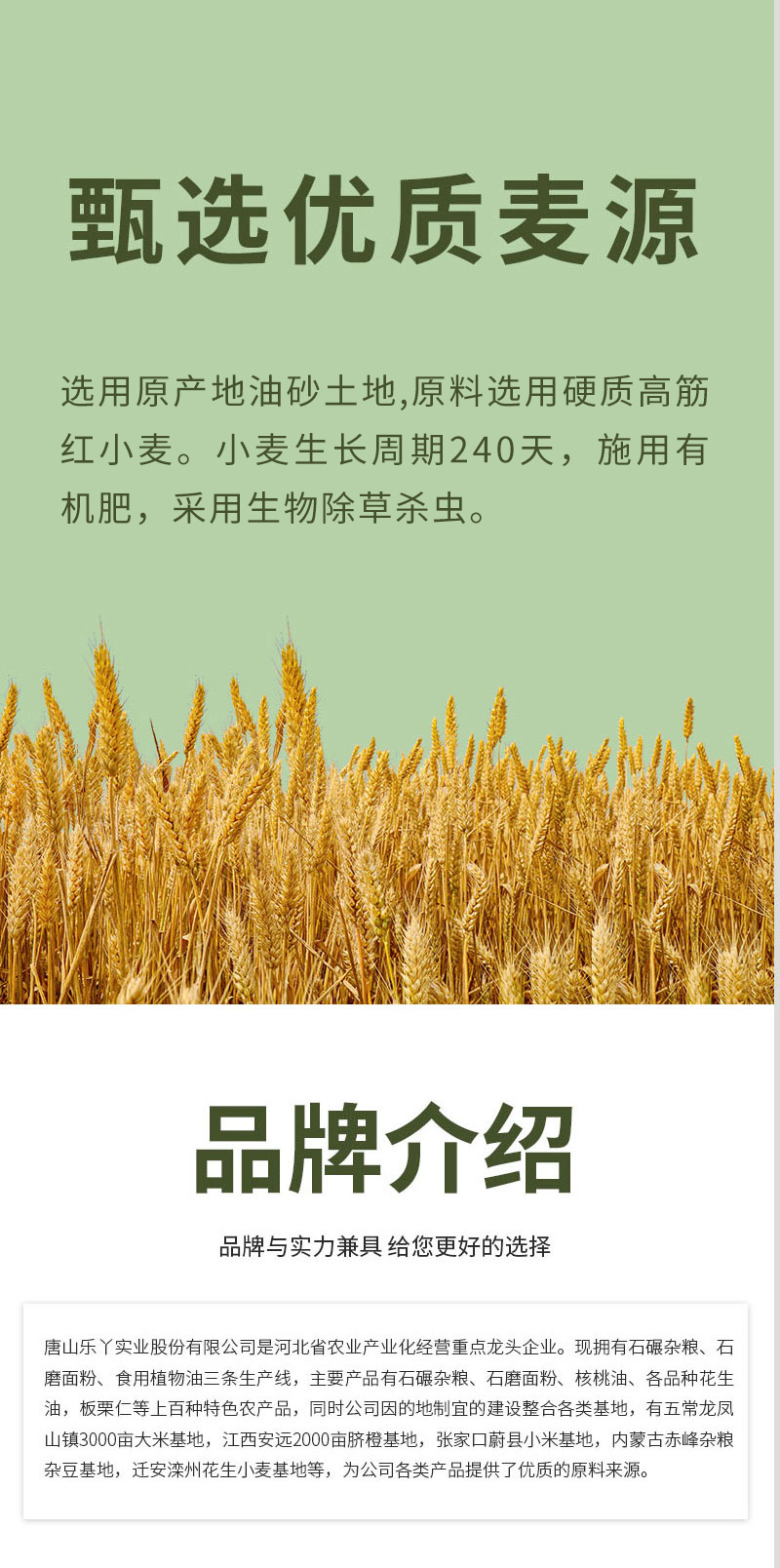 详情-07.jpg