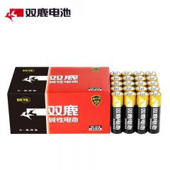 双鹿 LR6AA 5号电池40粒5号碱性适用儿童玩具 耳温枪 血糖仪 无线鼠标 遥控器 血压计 挂钟