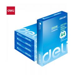 得力（DELI） 7419莱茵河打印纸A4 80g克500张*5包一箱口碑优选复印纸 双面加厚草稿纸 整箱2500张