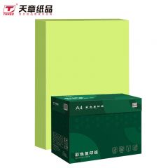 天章(TANGO)新绿天章P65433 彩色复印纸 70克 A4 浅绿 500张/包 5包/箱
