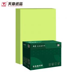 天章(TANGO)新绿天章P65438 彩色复印纸 70克 A5 浅绿500张/包 10包/箱