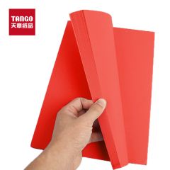 天章(TANGO)新绿天章A4彩纸红色 彩色打印纸复印纸 彩色卡纸非硬 幼儿园儿童手工折纸剪纸 大红色80g100张
