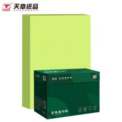 天章(TANGO)彩纸 浅绿色打印纸复印纸 彩色软纸 儿童手工折纸剪纸 浅绿色 80克 A4 500张/包 5包/箱