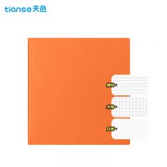天色（TIANSE） 笔记本子高颜值方形记事本 224张大学生考研本子错题摘抄本学习记事本 TS-4169 落日橙