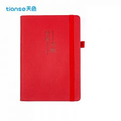 天色（TIANSE）  A5笔记本本子记事本360页日程本日记本高档会议本教师节礼物送老师开学礼品 TS-4148 红色（未来可期）
