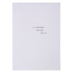 晨光  APYKF264/16K双线信稿纸钢笔书法练习纸一本20页