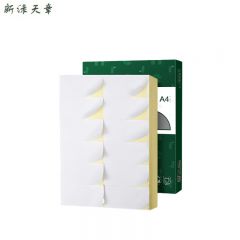 新绿天章 标签纸 铜版纸 A4 12枚 80张 P2644 盒