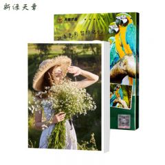 新绿天章 相纸 P3618  A4 180g 20张/包