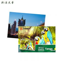 新绿天章 相纸 6寸 230g  P3621 100张/包