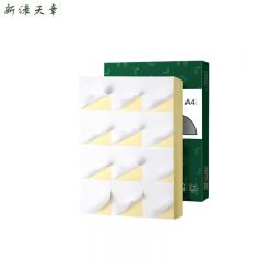 新绿天章 标签纸 铜版纸A4 12枚/张80张 P2645 盒