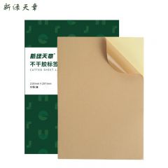 新绿天章 铜版纸 A4中色牛皮纸不干胶80张 P43036 盒