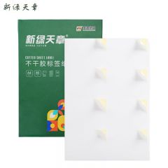 新绿天章 标签纸 铜版纸 A4不干胶哑面黄底8枚/张80张 P2073 盒