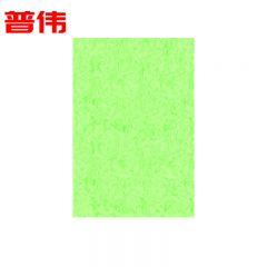 普伟 平面皮纹纸 浅绿色 A4 180g  包