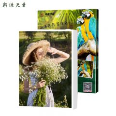 新绿天章 相纸 P3619  A4 230g 20张/包