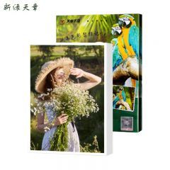 新绿天章  相片纸 P1239  A4  230g 100张/包