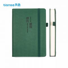 天色  A5笔记本子记事本360页日程本软皮面本高档会议 TS-4148 绿色（乘风破浪）