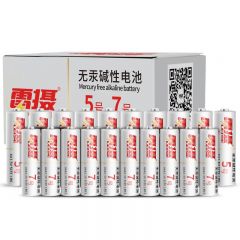 雷摄（LEISE） AA-5号碱性电池20粒+AAA7号20粒 混搭40粒/盒装