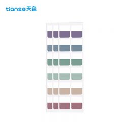 天色（TIANSE） 莫兰迪标签索引贴可撕便利贴标记贴 N次贴120枚 TS-4329 深色（中号）