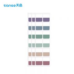 天色（TIANSE） 莫兰迪标签索引贴可分类记事贴N次贴40枚 TS-4329 深色（大号）