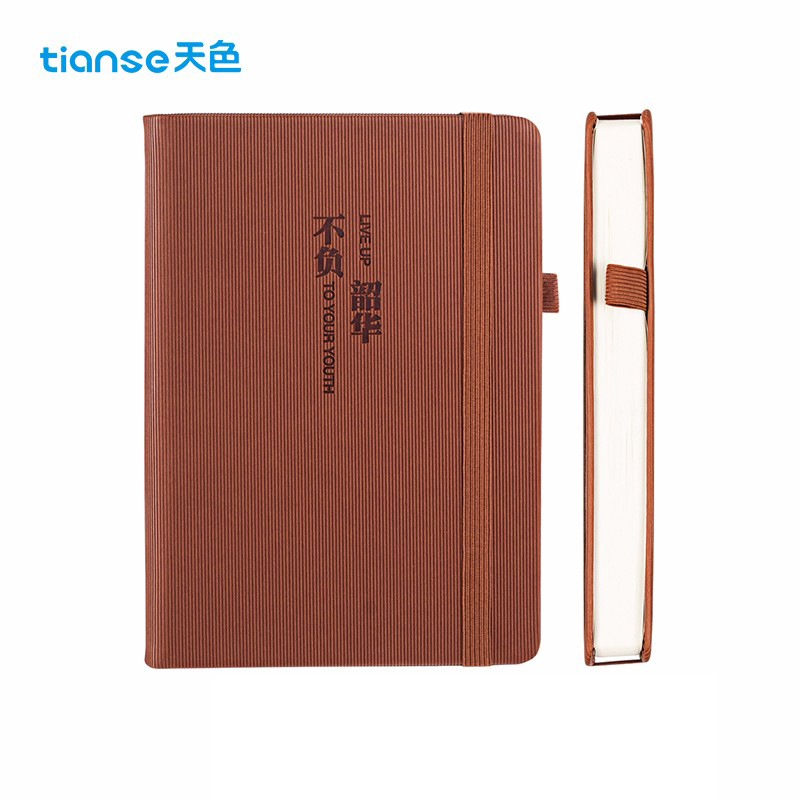 天色（TIANSE） A5笔记本子记事本360页日程本软皮面本 TS-4148 棕色（不负韶华）