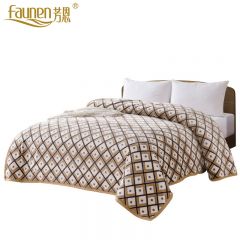 芳恩 FN-T9003-1 简约风尚貂绒毯 摩登 200*230cm