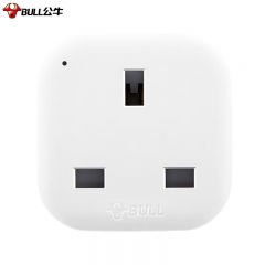 公牛（BULL） 旅行充电转换器插头转国内电器插座 L01CE(S)中转英吸塑装转换器(3367/18.01)