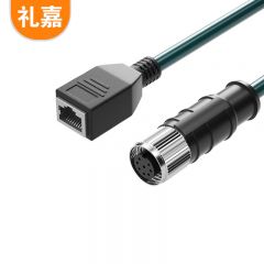 礼嘉（LIJIA）8针A型 M12转RJ45 工业屏蔽网线20米 高柔工业相机传感器拖链电缆屏蔽耐折 母对母 LJ-8MQ20