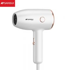 山水（SANSUI） 子弹头电吹风家用大功率速干吹风筒轻音降噪智能发热吹风机（1290）