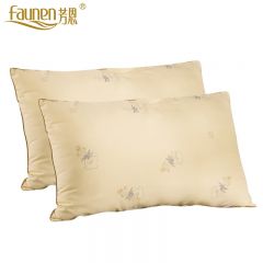 芳恩 FN-R7004-1板蓝根健康对枕