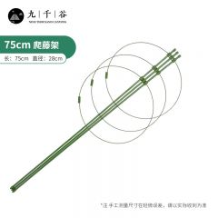 九千谷 植物攀爬支架包钢管 花盆爬藤花架葡萄固定支柱月季黄瓜豆角金钱树花卉支撑防倒固定架子75cm4641