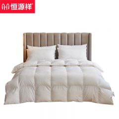 恒源祥   1JG1223羽绒被