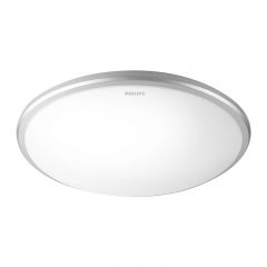 飞利浦（PHILIPS） LED悦远吸顶灯20w 冷光6500k 银灰色 吸顶安装  915005829201 适用于办公 工业 学校 居家