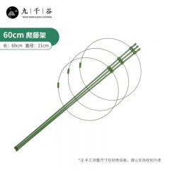 九千谷 植物攀爬架包钢管 花盆爬藤花架蔷薇月季葡萄固定支柱蟹爪兰铁线莲昙花卉支撑防倒固定架子60cm4634