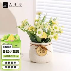 九千谷 假花仿真花摆设小雏菊白色盆栽塑料花束办公室假花白色瓶3520