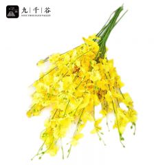 九千谷 跳舞兰仿真花假花卉客厅桌面迎春花束装饰摆件85cm10支装4657