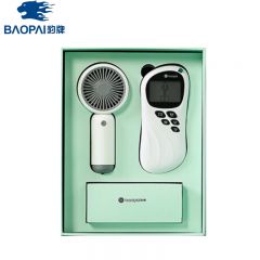 豹牌（BAOPAI） BP-T50 乐风套装 手持小风扇 电子按摩仪