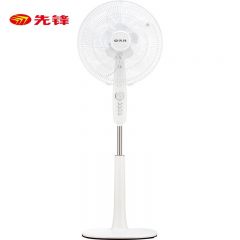 先锋（SINGFUN） FS40-16D电风扇落地扇 立式大风量家用电器宿舍大风扇