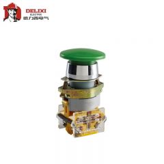 德力西电气（DELIXI ELECTRIC） 按钮开关；LAY8-22D AC.DC 110V 绿