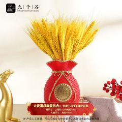 九千谷 麦穗摆件干花束仿真花卉大麦客厅桌面装饰品 100支带钱袋花瓶4411