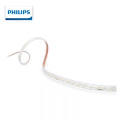 飞利浦（PHILIPS） LED恒亮高压灯带 单排 7.5w 冷光6500k 50米 1个 929002625601 适用于房产物业，家用