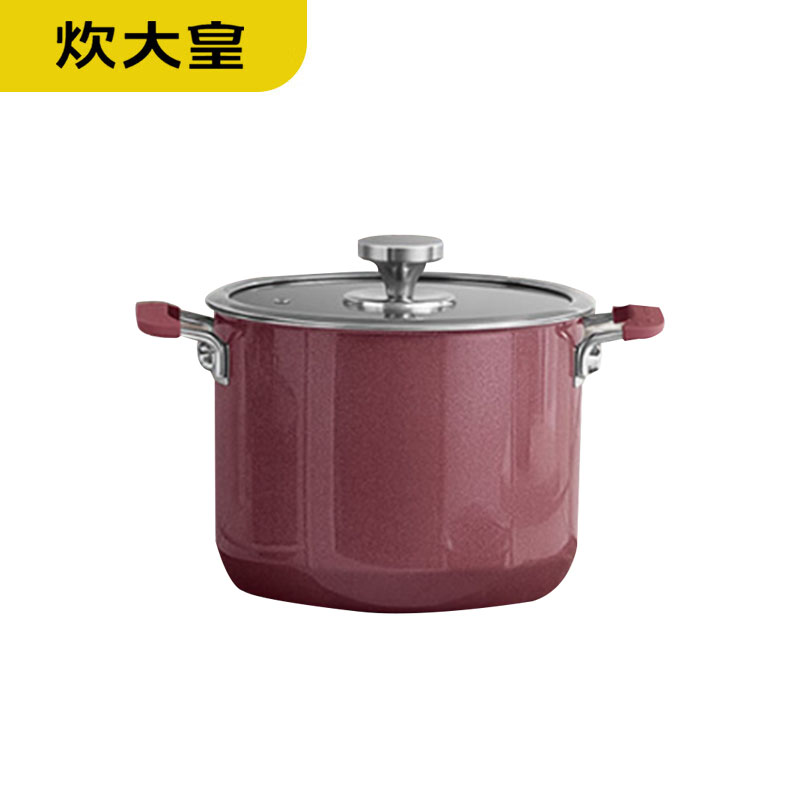 炊大皇（COOKER KING） TG22NW-H珐琅搪瓷高汤锅0涂层家用炖盅炖锅汤煲汤锅电磁炉煮锅22cm