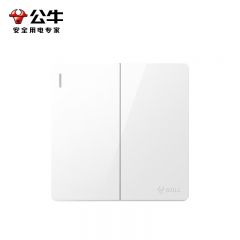 公牛(BULL) G59K212 明装大板开关插座 二开双控开关